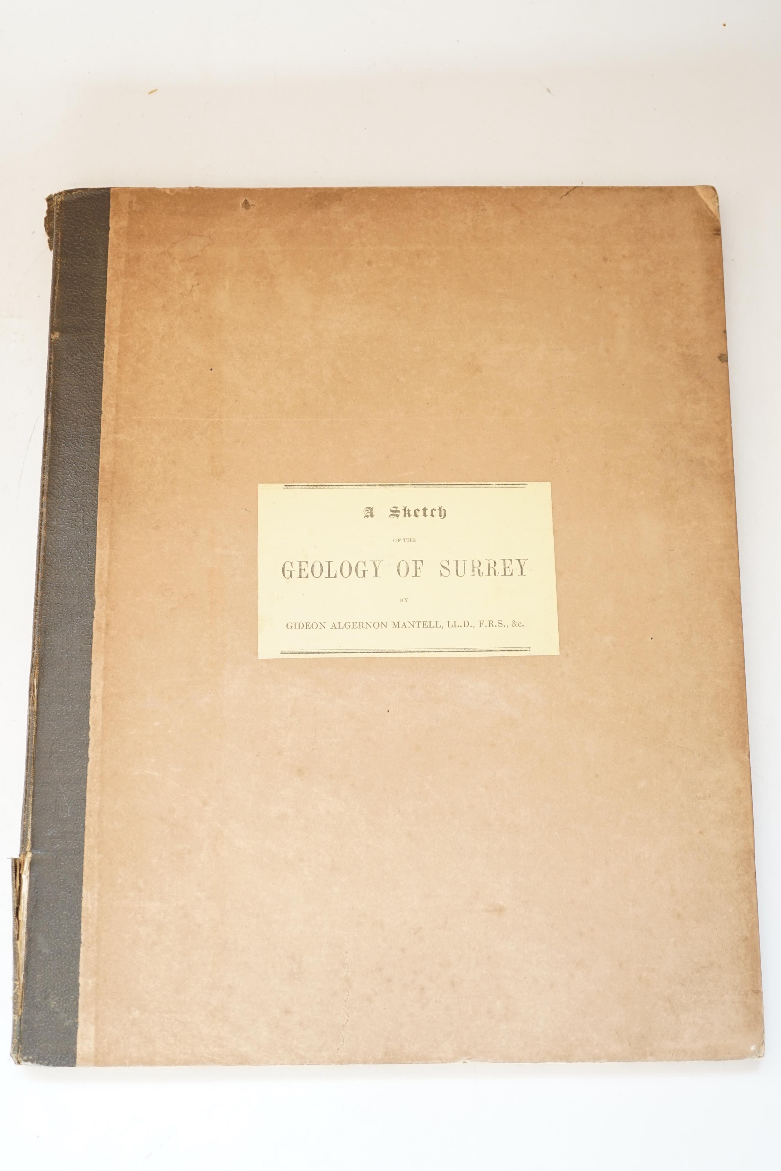 Mantell, Gideon - Sketch of the Geology of Surrey. First separate edition, 4to, 3 lithographed plates, 1 hand-coloured, plate 2 with worming to lower edge, original cloth-backed paper-covered boards, tear to lower sectio